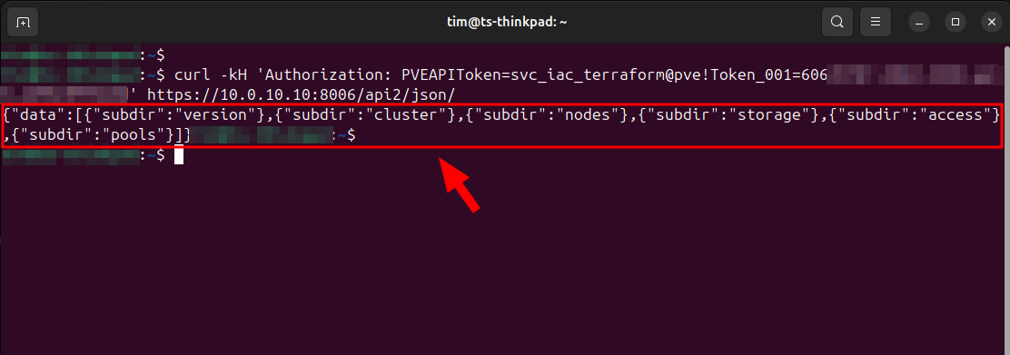 Testing the API token authentication.