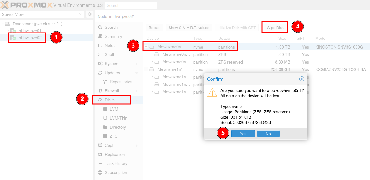 Remove old ZFS storage pool from a previous installation